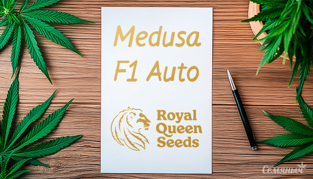 Гроурепорт Medusa F1 Auto от сидбанка Royal Queen Seeds