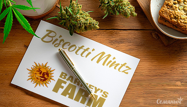 Гроурепорт сорта Biscotti Mintz fem от Barney's Farm